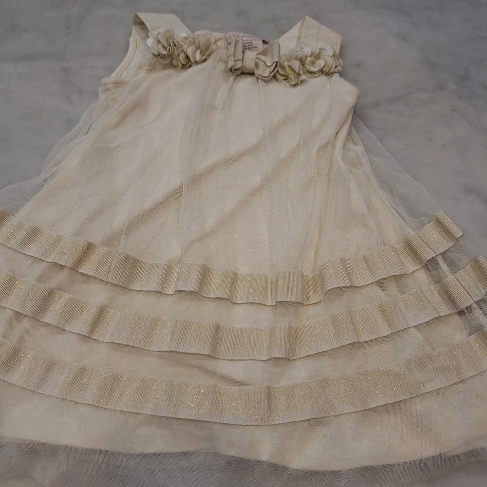Catherine Malandrino Party Dress Toddler 24M Gold Tulle Floral Special Event